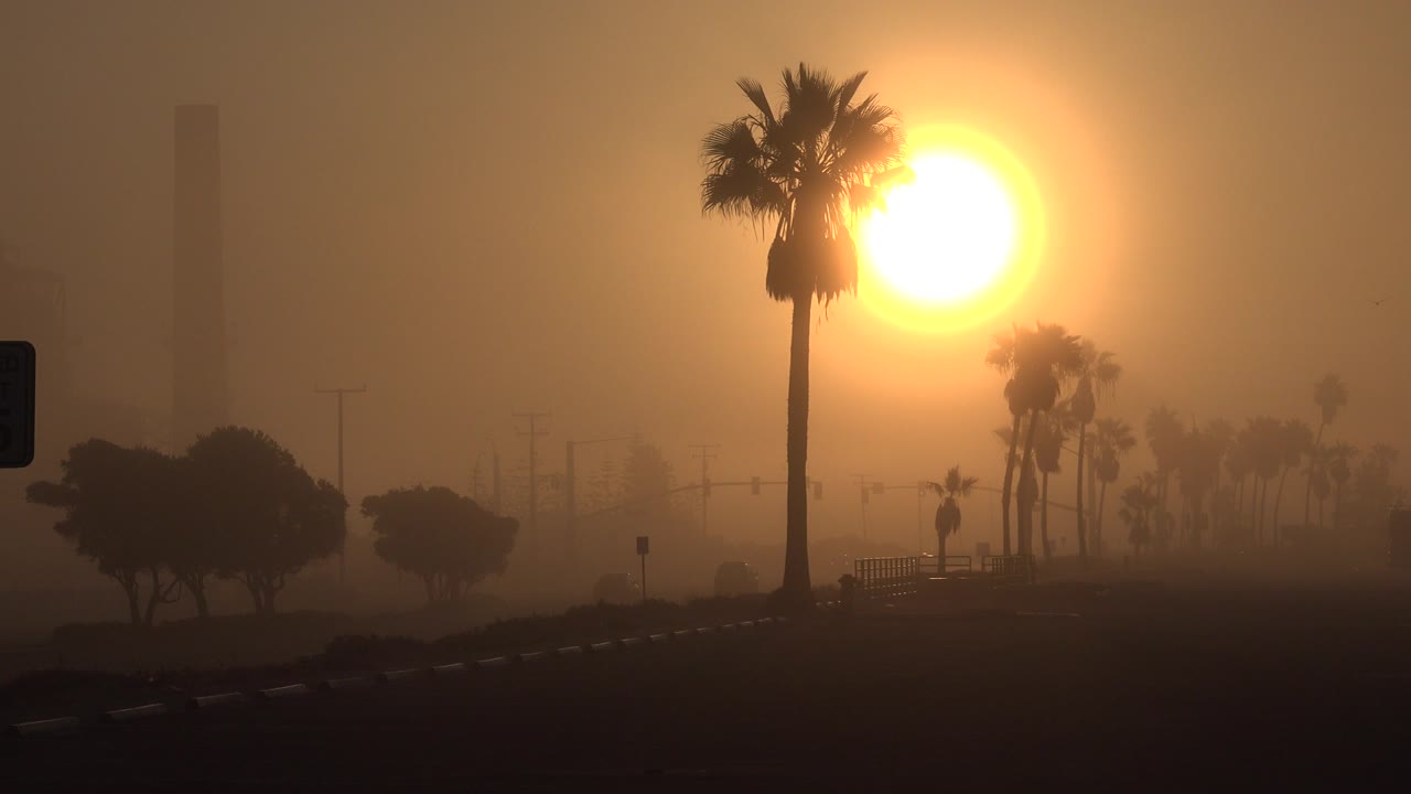 Hazy sunrise behind palm trees and roadside silhouettes.