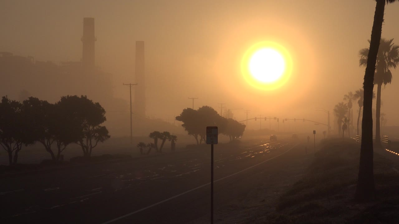 Bright sun over a hazy road with palm silhouettes and trees.