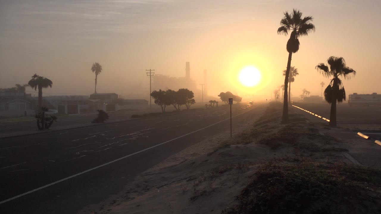 Hazy sunset over a road with palm trees and sandy roadside ground.