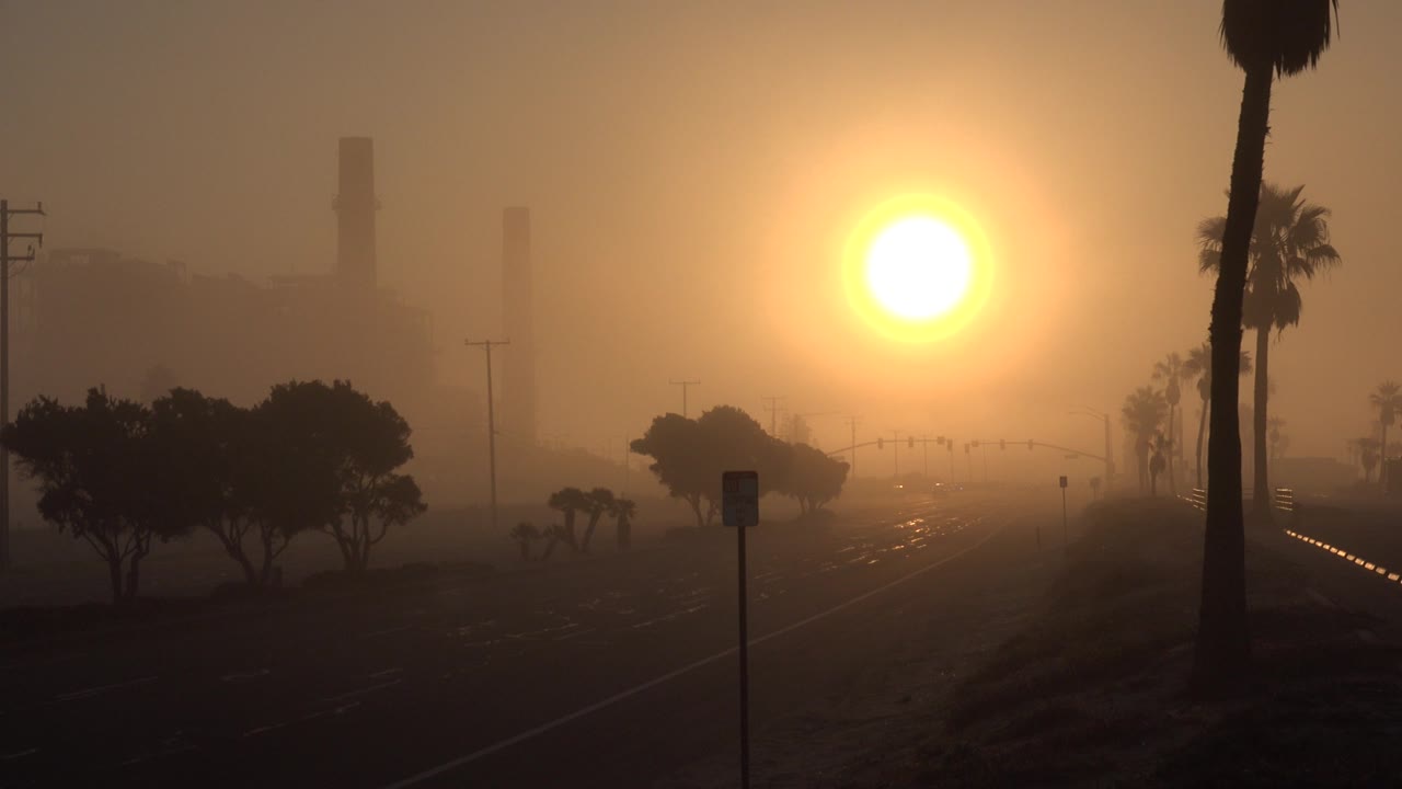 The sun remains bright over the misty Huntington Beach roadway, with a tall palm trunk on the right edge and no visible people.