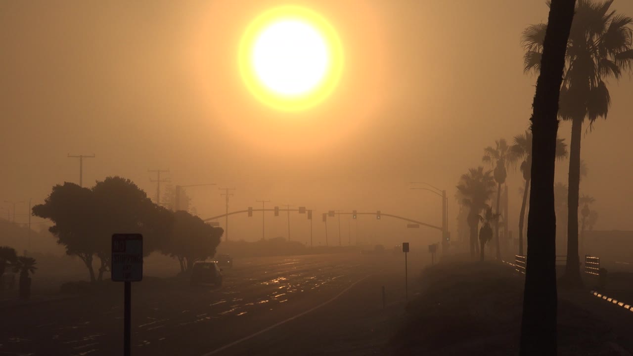 Palm-lined street in haze with bright orange sun and distant vehicles.