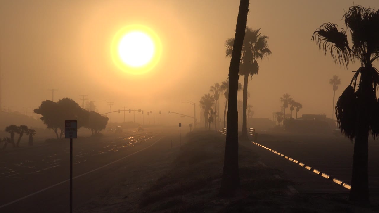 Bright sun over a hazy Huntington Beach road with palm silhouettes, distant traffic lights, roadside signs, faint cars, and no visible people.