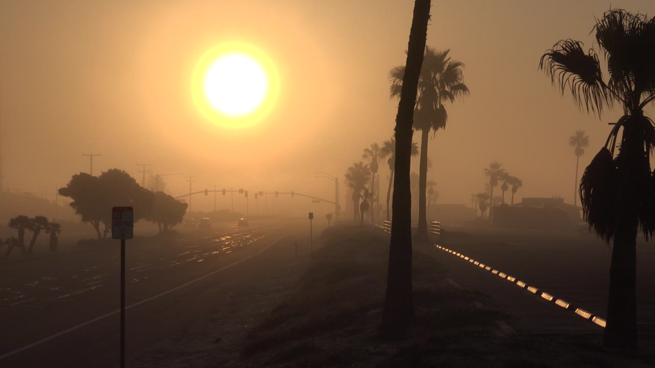 Hazy Huntington Beach roadway under a large bright sun, with a dark foreground palm trunk at right, distant signals, faint vehicles, and no visible people.