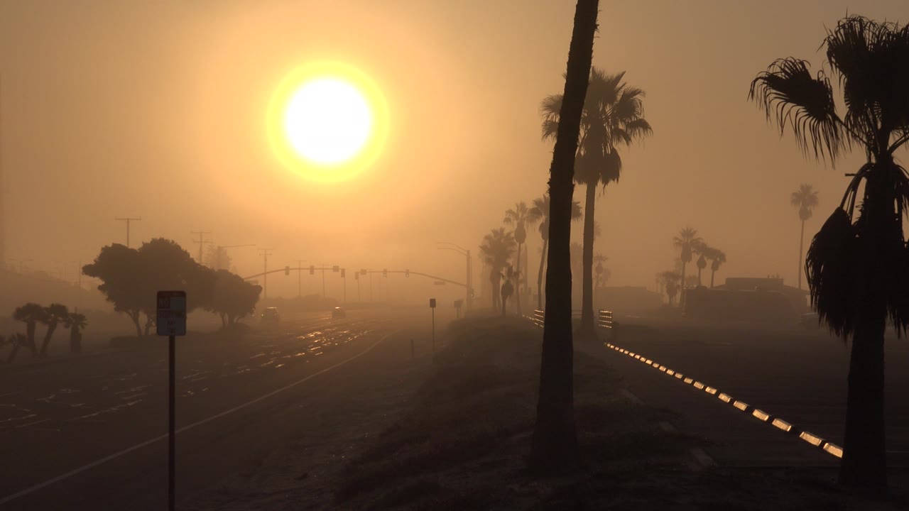 Sunlit hazy highway framed by palm trees