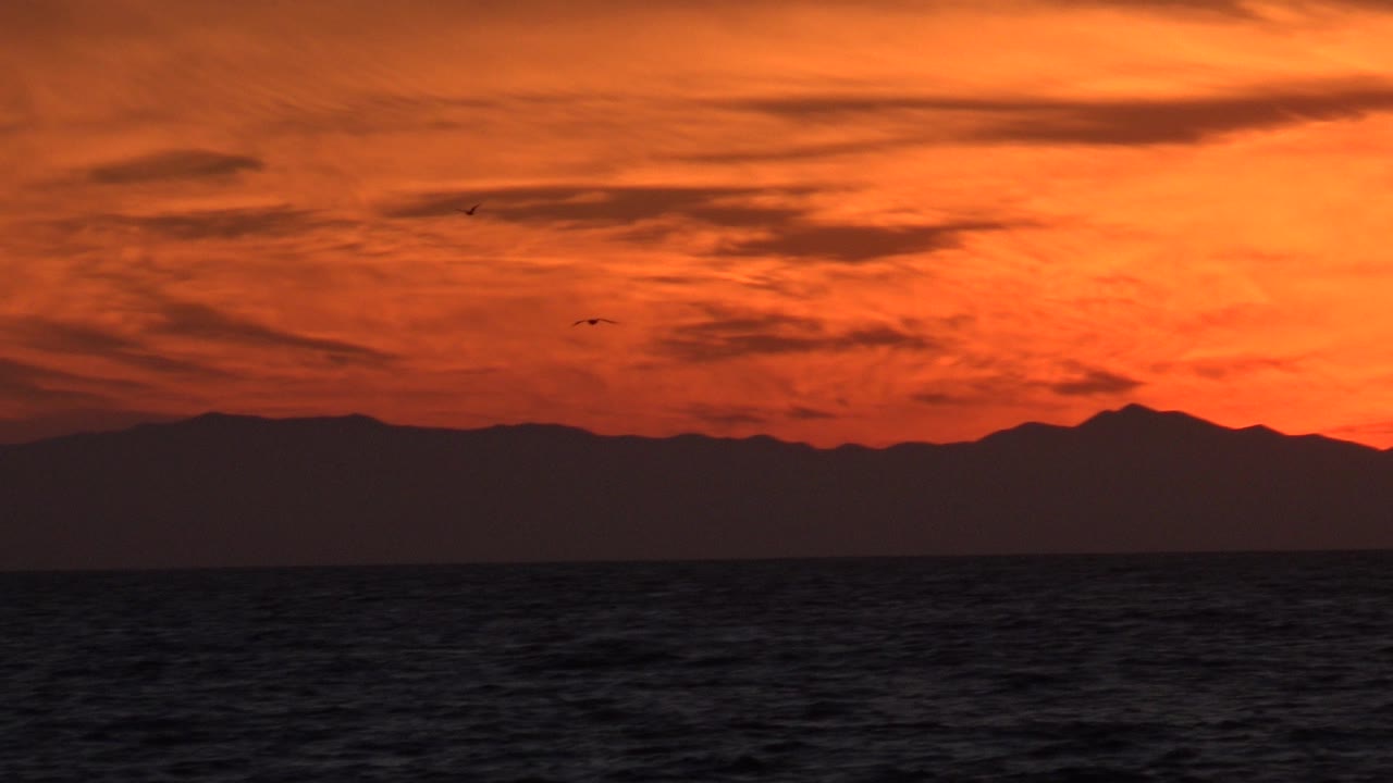 Huntington Beach coastal sunset frame with the Pacific below, a black horizon line of distant land, orange clouds overhead, two small birds separated in the sky, and no visible people.