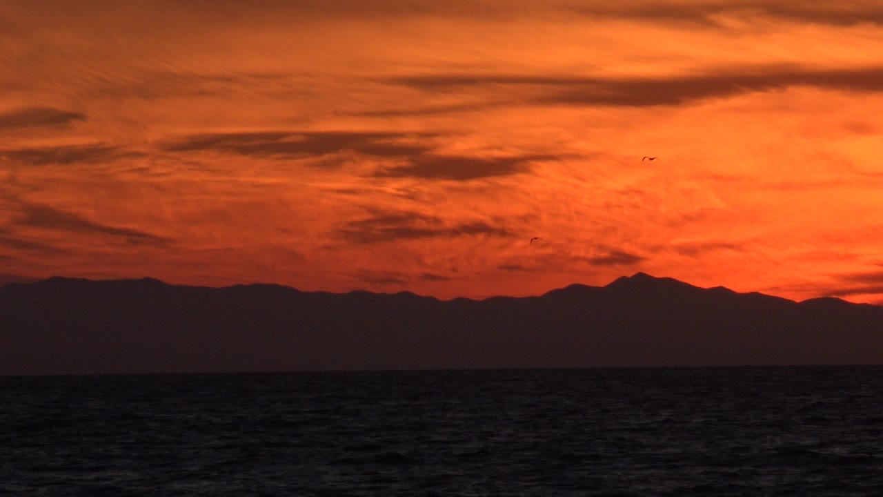At 0:00 in Huntington Beach, California, small dark birds appear in a red-orange dusk sky above a dark ocean foreground and distant mountain silhouette, with no visible people.
