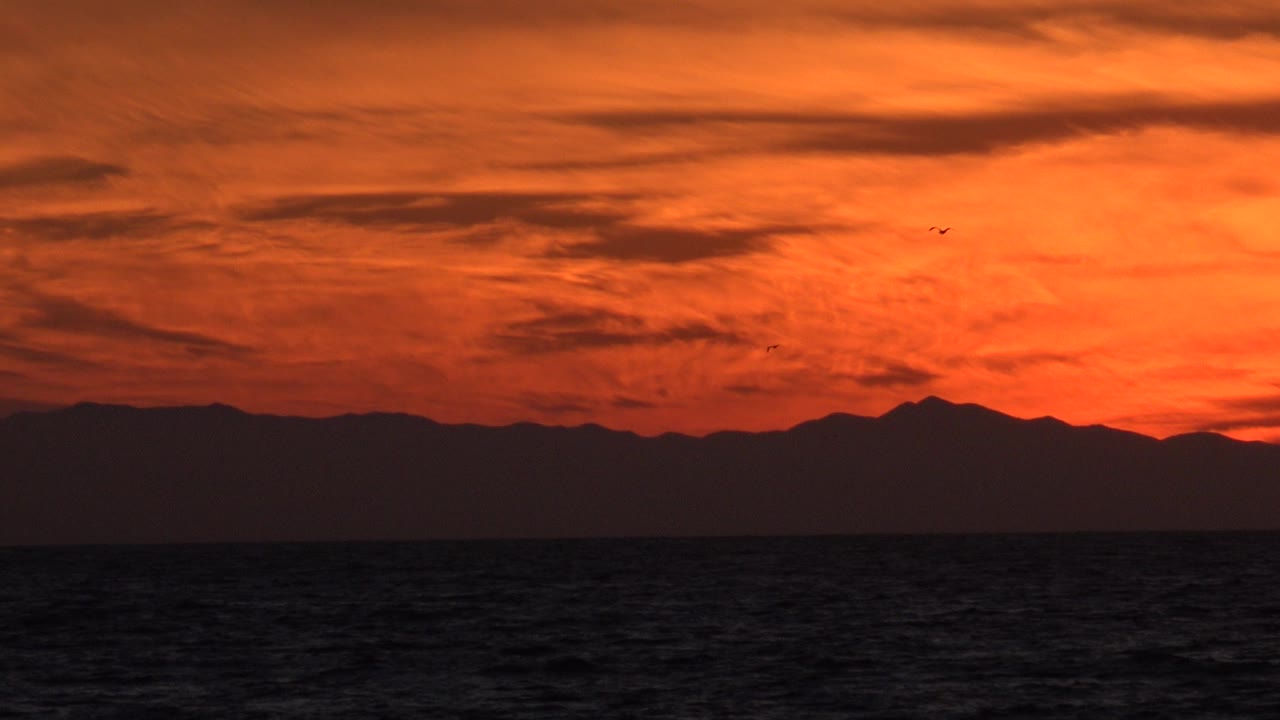 At 0:01 in Huntington Beach, California, the birds sit higher against the orange-red cloud layers while the ocean remains dark below the mountain line, with no visible people.