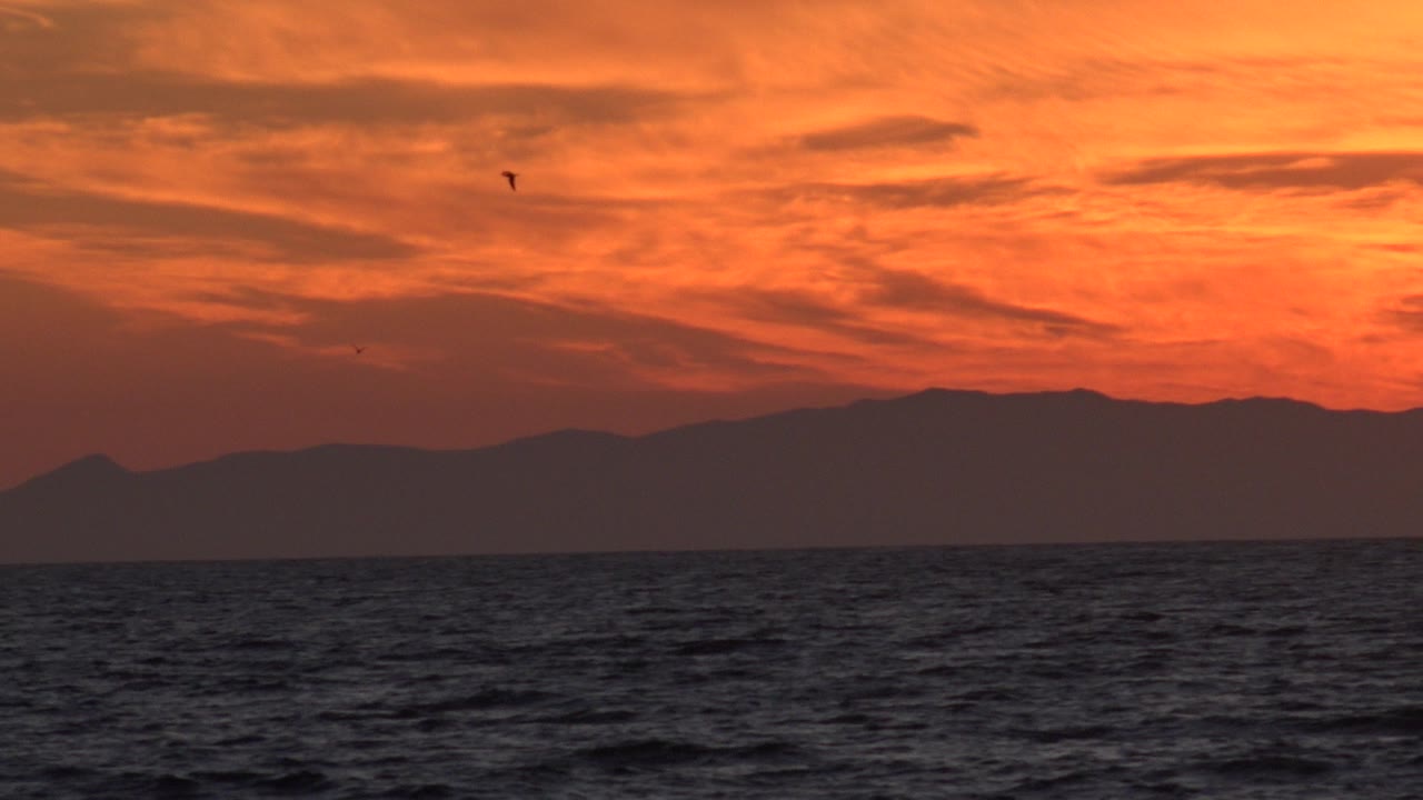 Huntington Beach sunset view with dark Pacific water below an orange clouded sky, distant mountain silhouettes on the horizon, a small bird high in frame, and no visible people.