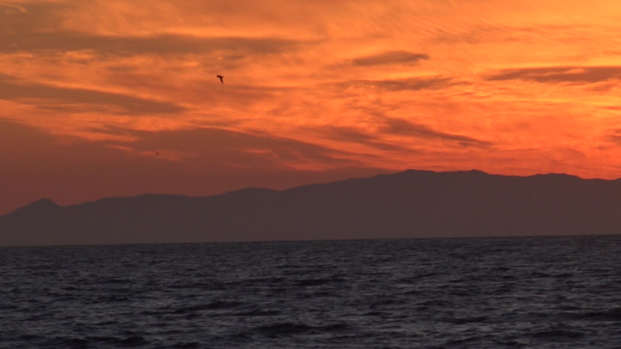 Huntington Beach ocean horizon at sunset with layered orange clouds, dark water in the foreground, mountain ridges in silhouette, small birds in the sky, and no visible people.