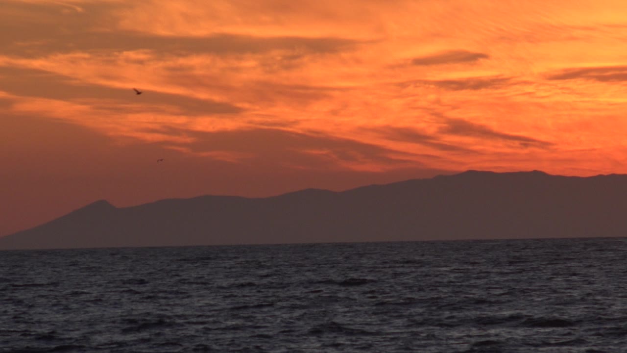 Wide orange sunset over dark ocean and mountain ridge with small birds in the sky.