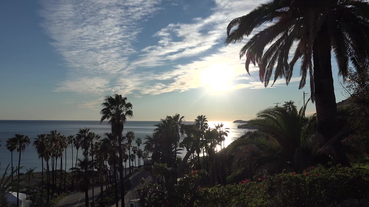 Sun shines above the ocean in Huntington Beach, California, with silhouetted palm trees, hillside plants, and no visible people in the opening frame.