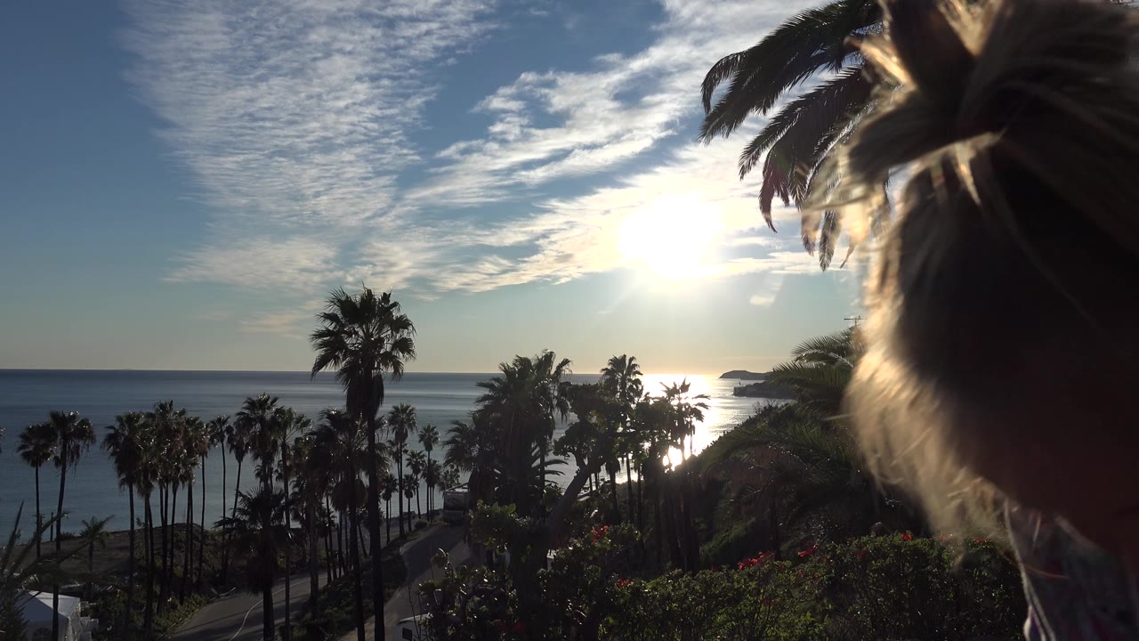Backlit ocean and palms with a close partial head at the right side.