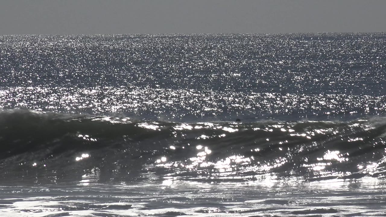 Large sunlit wave rising across the frame with no visible people.