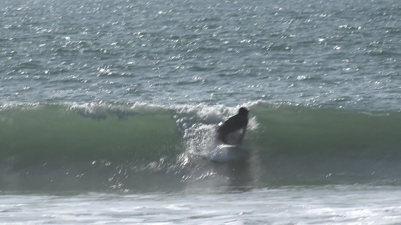 The young surfer remains low on the board as the wave steepens, with bright ocean glare behind the breaking lip at Huntington Beach.