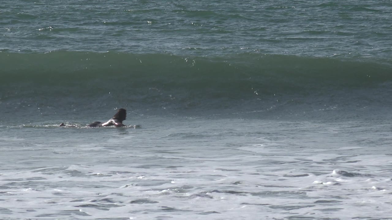 At Huntington Beach, California, the surfer remains prone on the board while a darker green wave face lifts across the background.