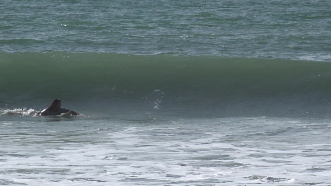 Surfer approaches a green wave with foam in the foreground.