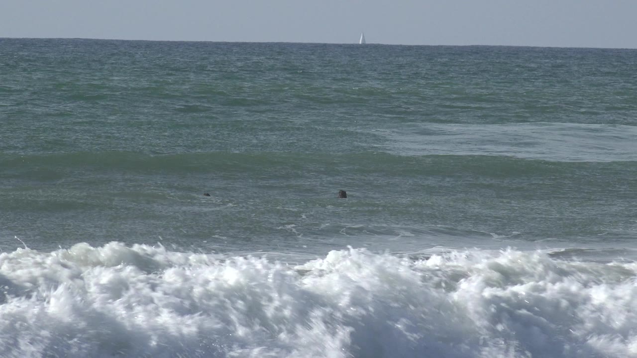A breaking wave fills the foreground at Huntington Beach, California, with green-blue ocean behind it, tiny distant surfers or swimmers, and small sailboats on the horizon.