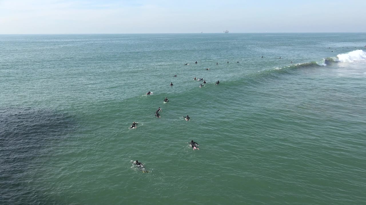 Surfers and swimmers in open ocean with a white wave breaking near the right side.