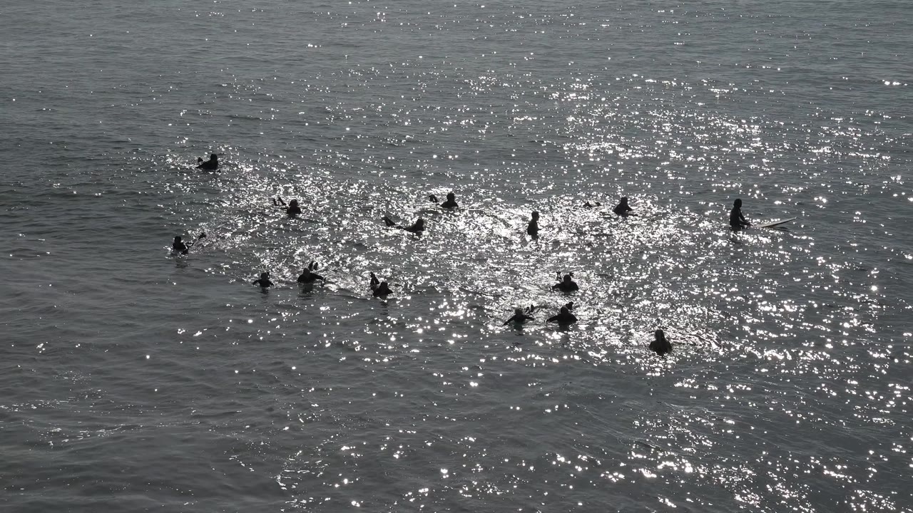 Group of swimmers surrounded by sparkling water.
