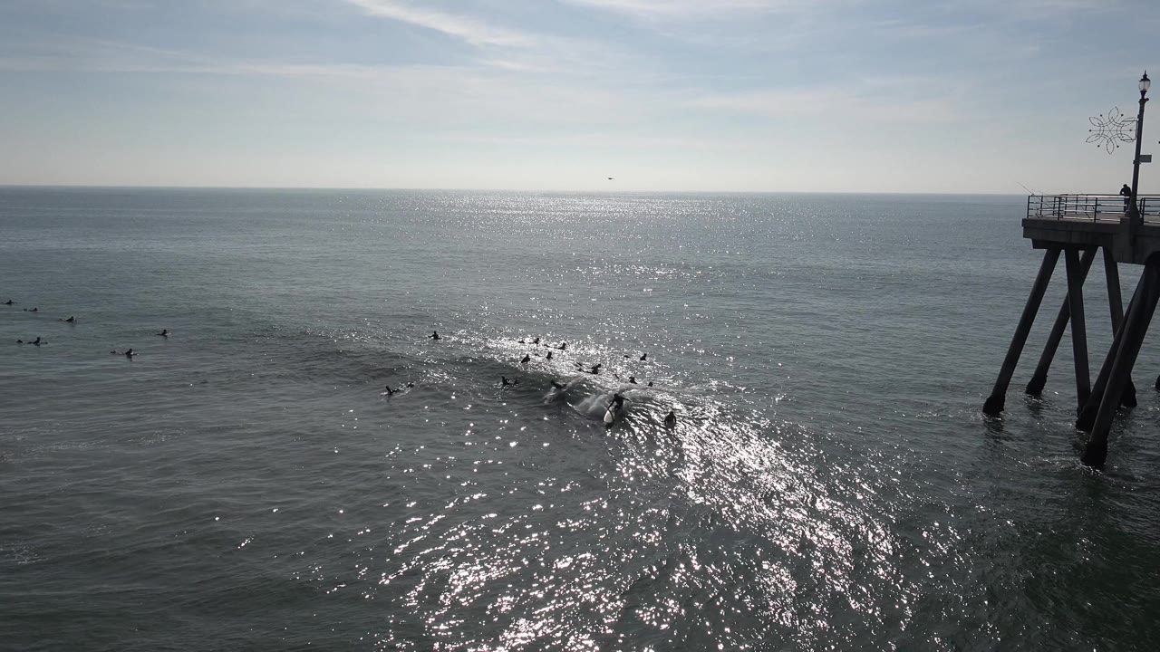 Wide Huntington Beach ocean view with surfers scattered near a forming wave, bright sun glare on the water, and pier supports along the right edge.