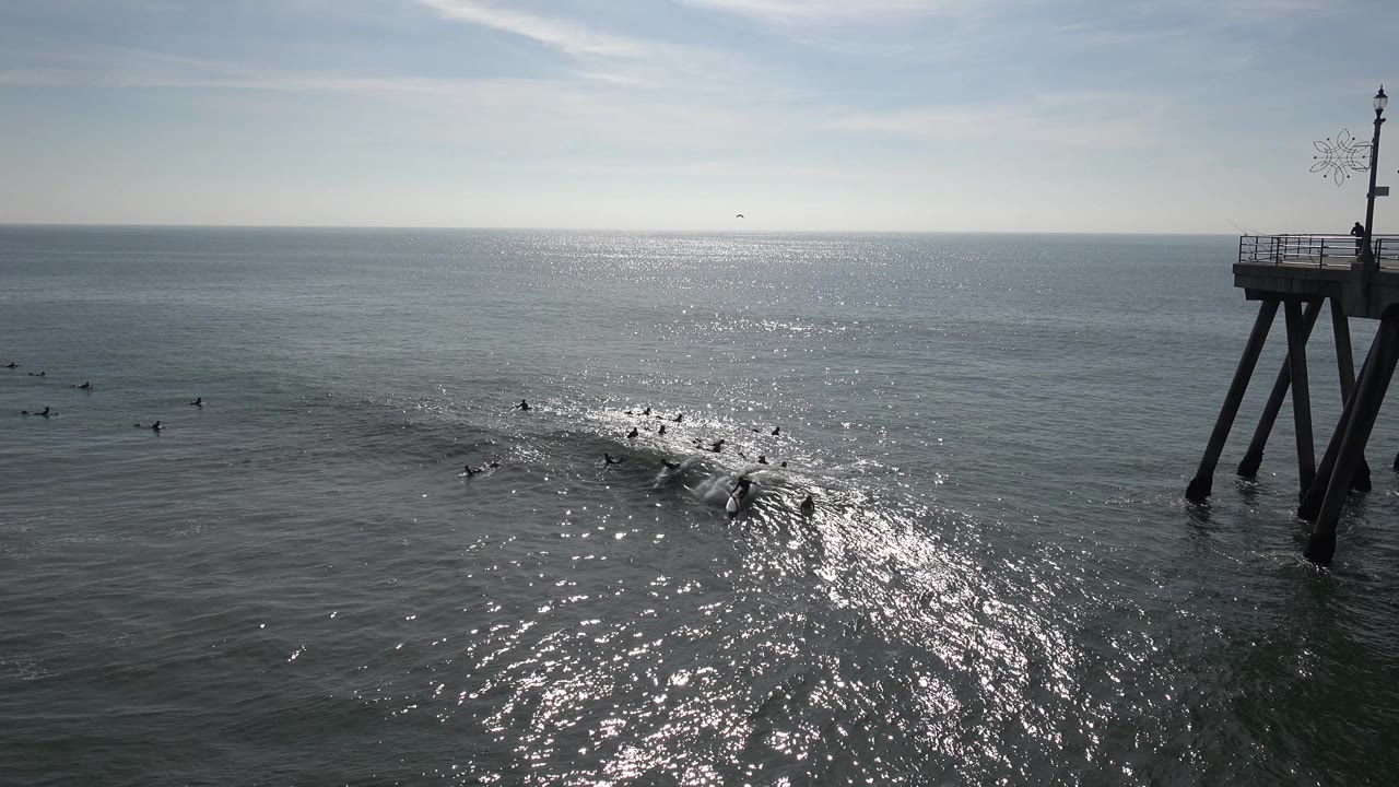 A line of surfers paddles as a small wave begins to crest near the pier.