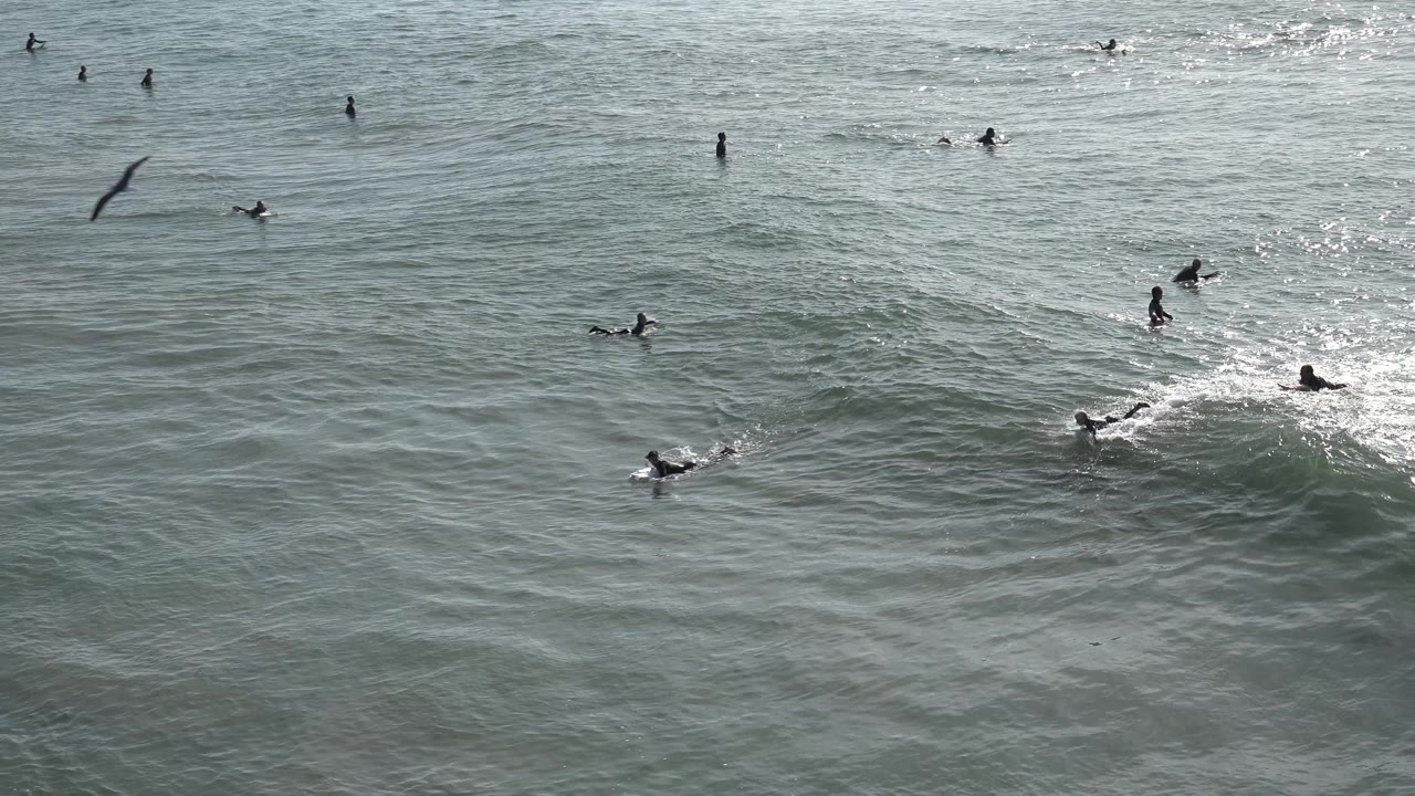 Distant surfers paddle near a breaking wave in open water.