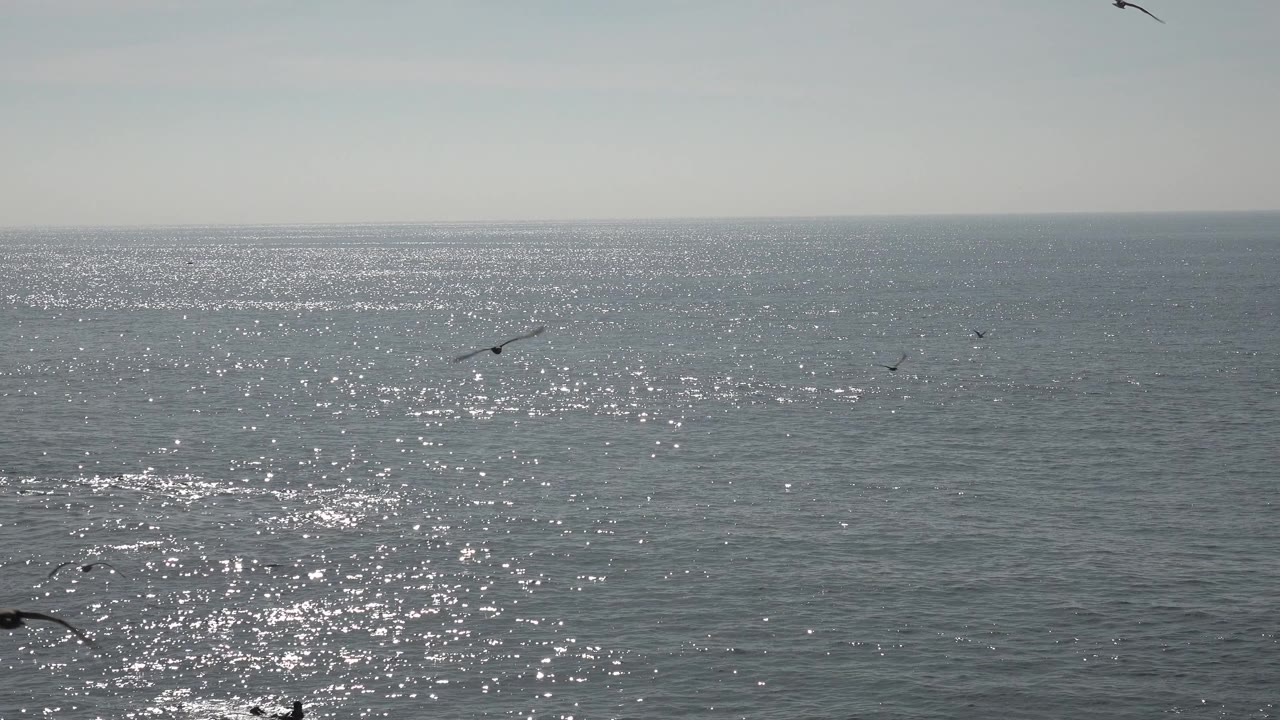 Several small birds appear at different distances over the gray-blue Huntington Beach sea, with bright reflections across the water and no visible people.