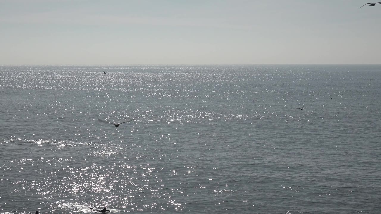 Distant birds cross above a broad sunlit ocean surface at Huntington Beach, with the horizon near the upper third and no visible people.