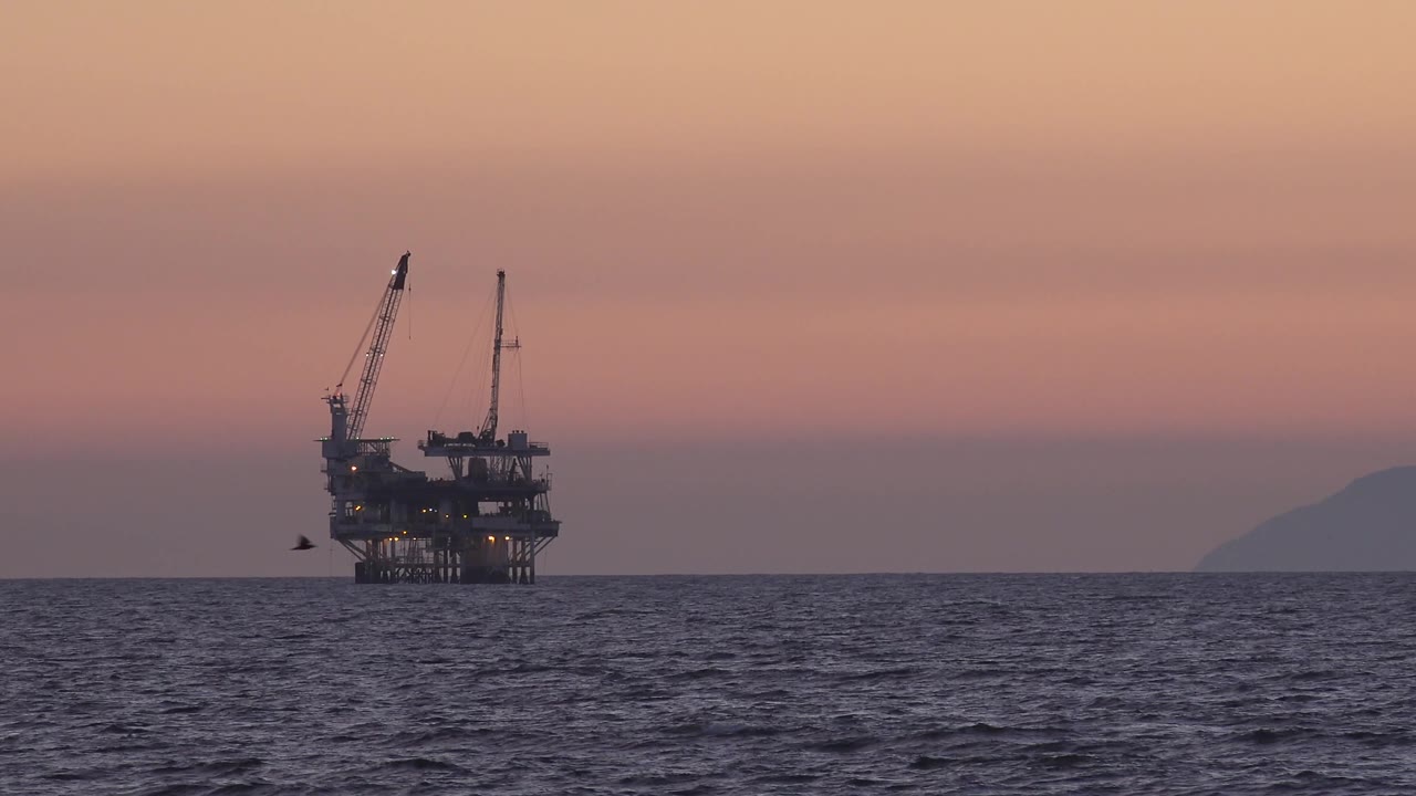 A small bird appears near the offshore platform in Huntington Beach, California, while the cranes and structure sit against a dim pink sky above dark sea, with no visible people.