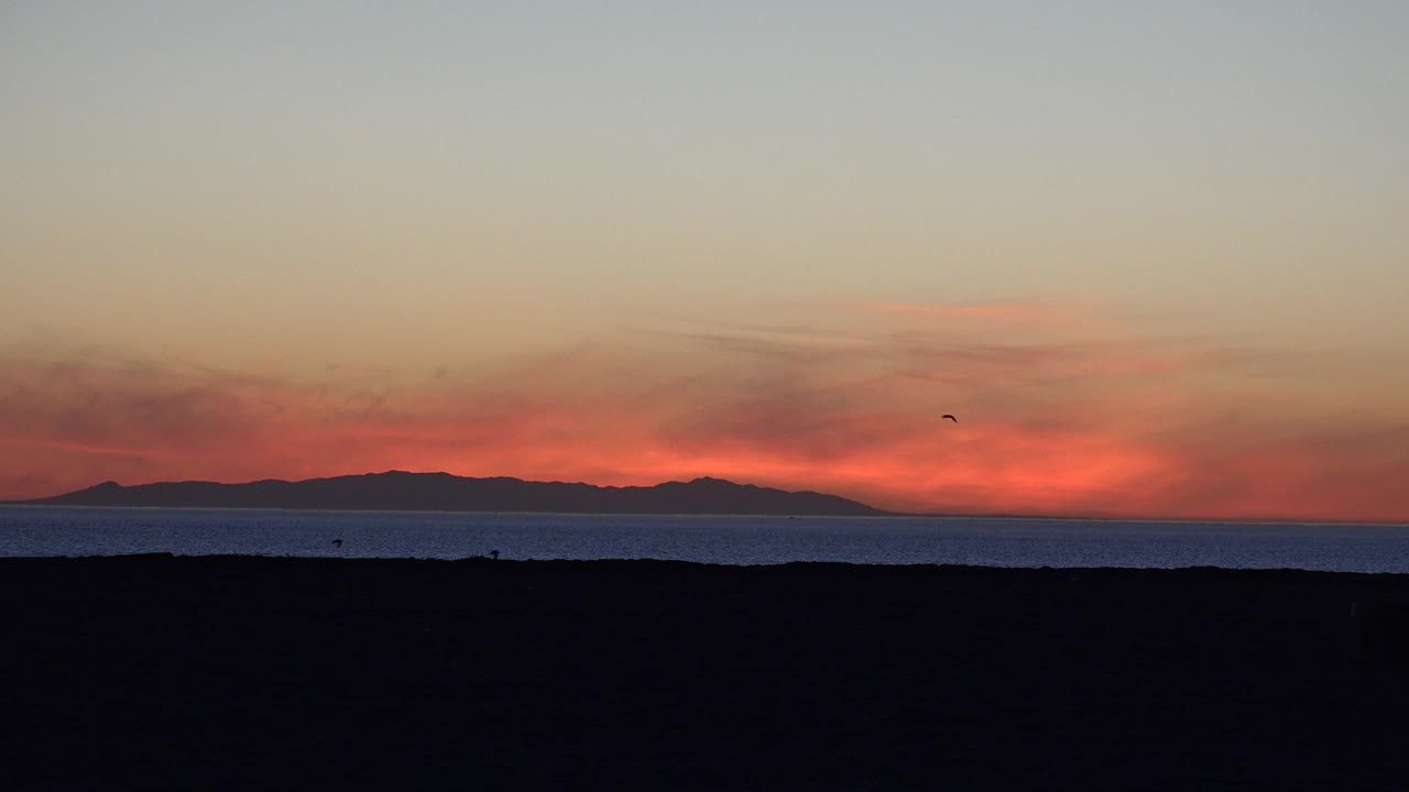 Huntington Beach horizon view with red light near the waterline, muted clouds above, a small bird silhouette in the upper sky, and no visible people.