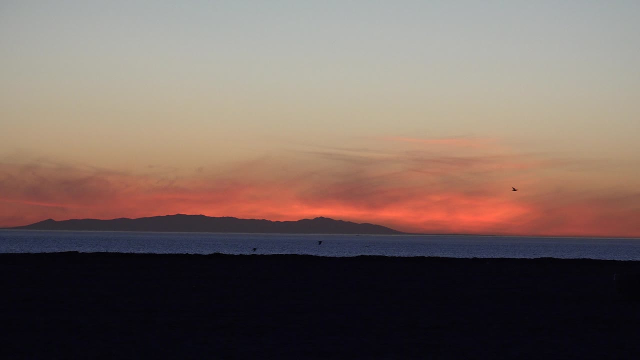 Red sky over ocean and silhouetted shore with a distant bird at right.