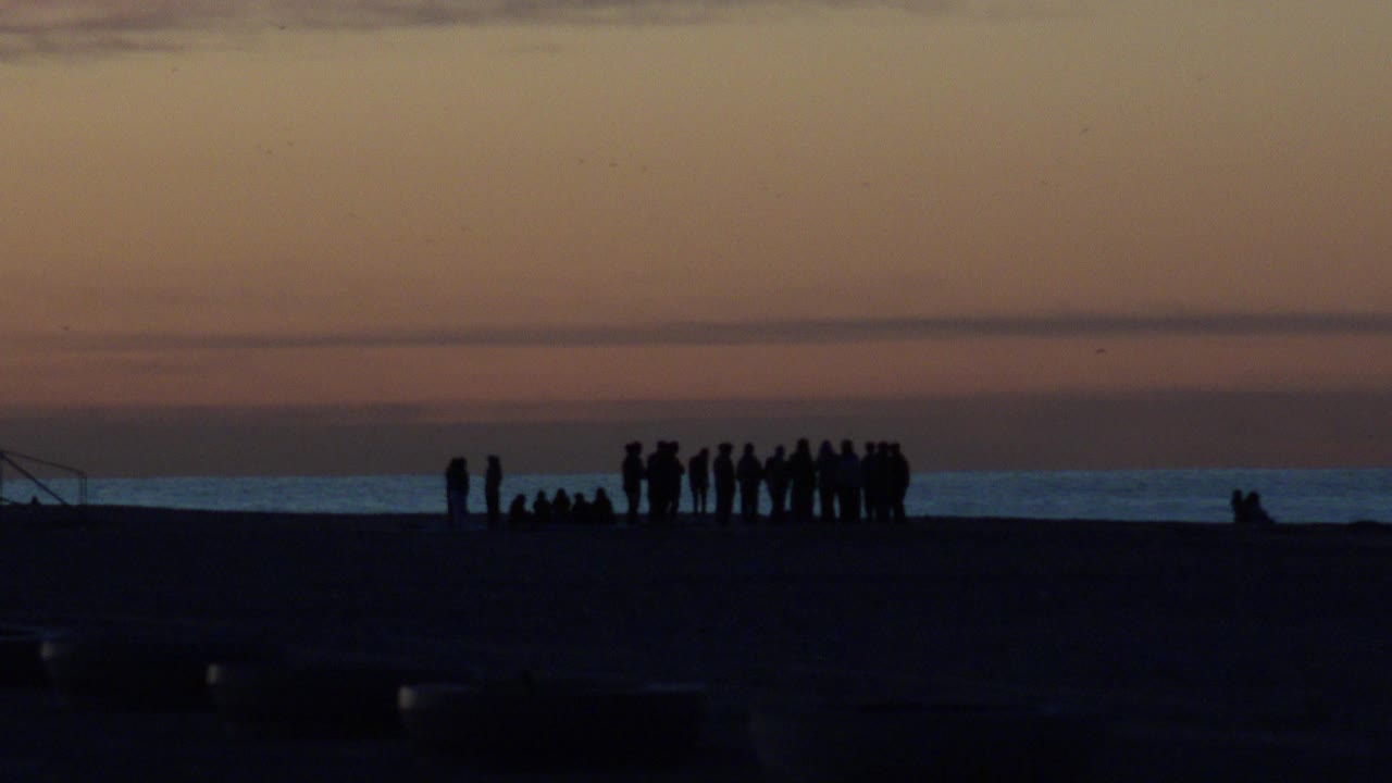 Group of people silhouetted on the beach beside fishing rods or poles.