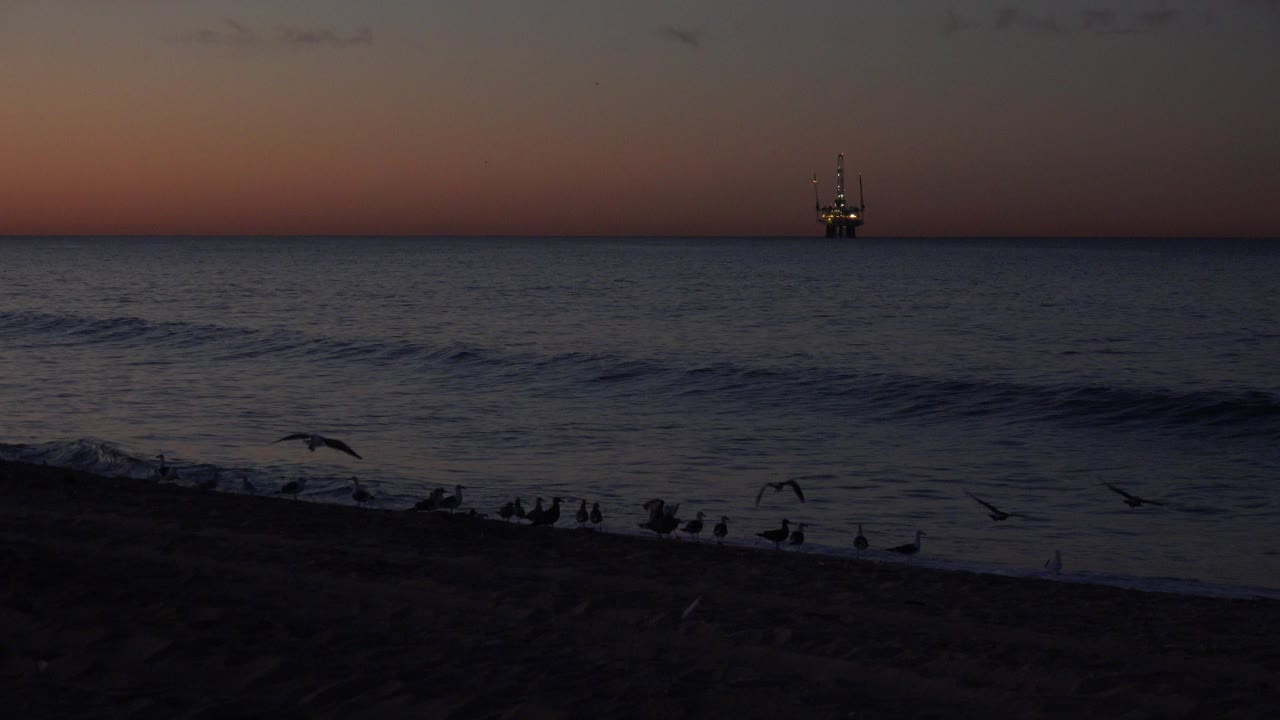 Huntington Beach sunset view with a dark sand foreground, low surf, seagulls near the shoreline, and a small lit offshore platform on the horizon, with no visible people.