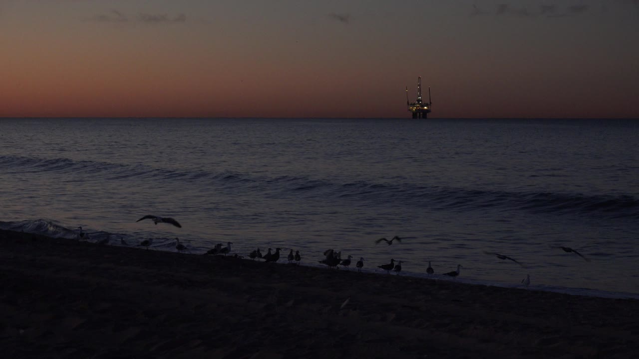 At 0:01 in Huntington Beach, seagulls pass over a shadowed shoreline while a small wave forms offshore and the distant platform remains near the horizon, with no visible people.