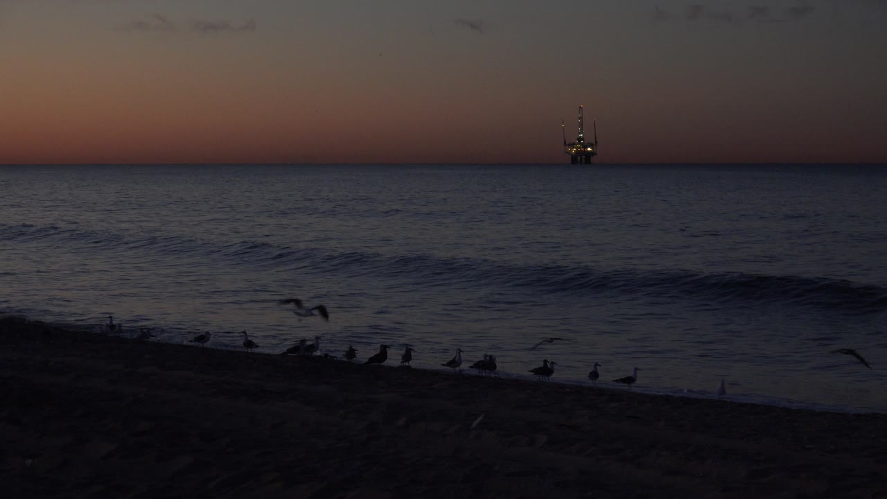 Sunset ocean horizon with seabirds and a distant offshore platform.