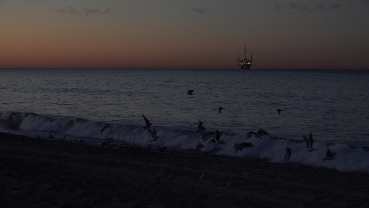 At Huntington Beach, seabirds lift above breaking surf in low sunset light while an oil platform sits on the horizon, with no visible people.