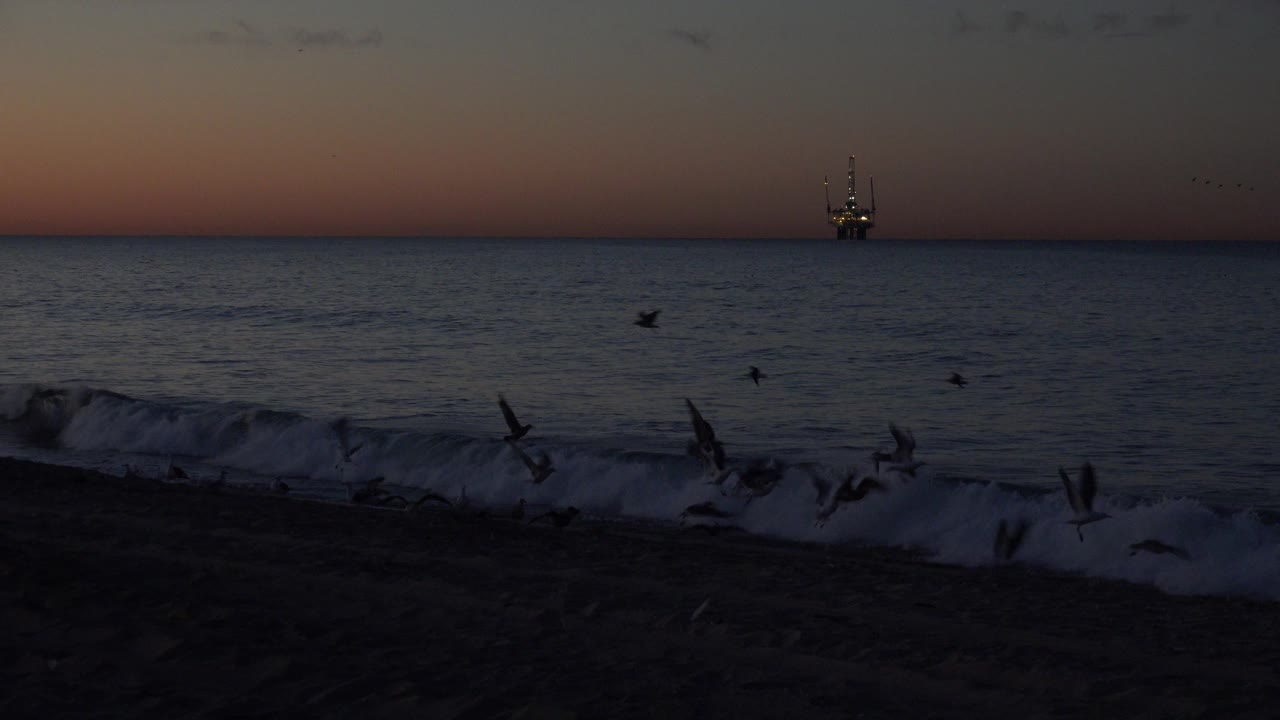 At Huntington Beach, more birds are airborne over the foamy shoreline wave, with orange-blue sunset light and no visible people.