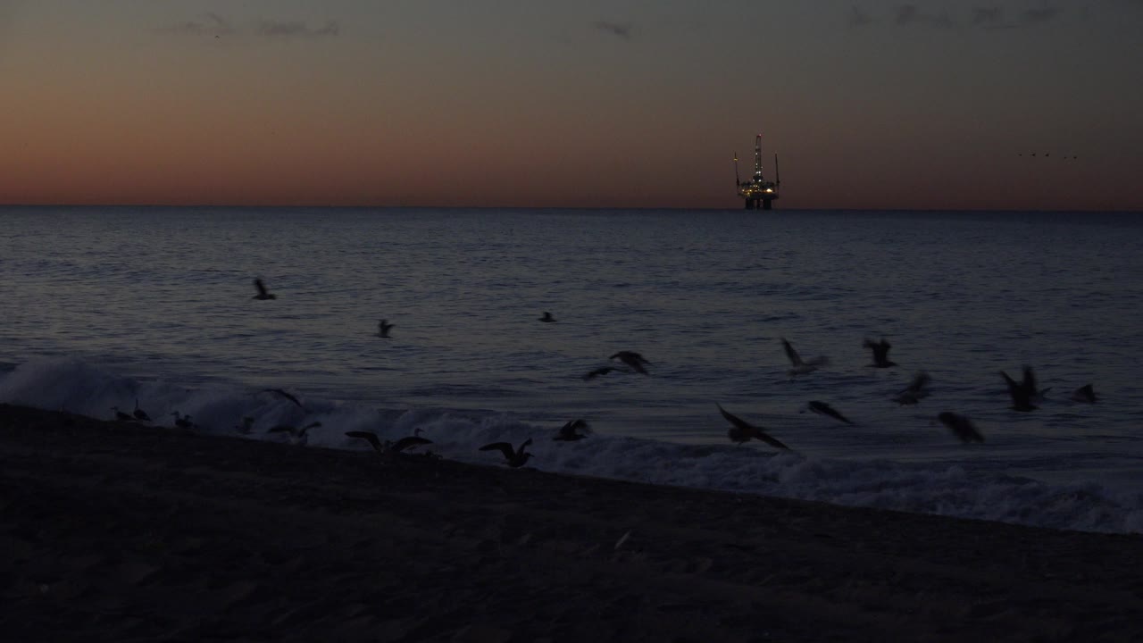 A larger flock crosses the surf line at dusk with an offshore platform in the distance.