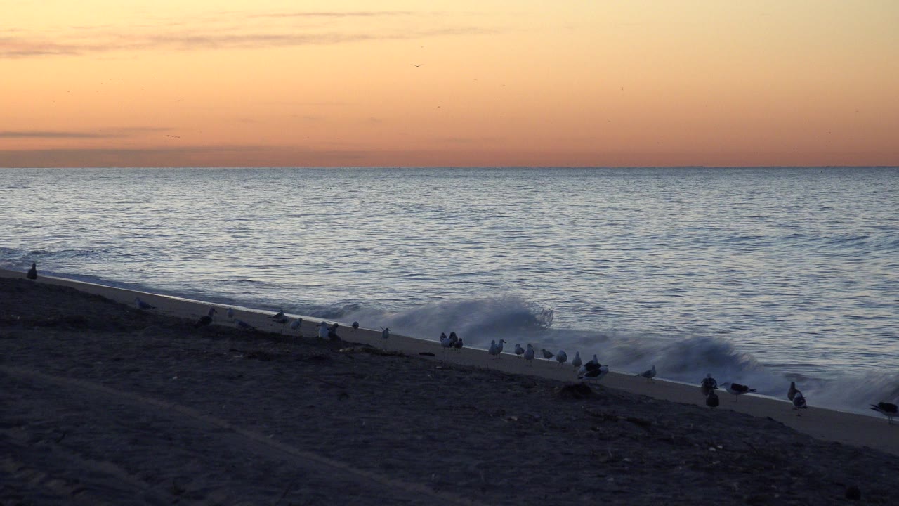 Huntington Beach shoreline at 0:00 with orange dusk sky, a dark sand foreground, low waves near shore, small birds along the waterline, and no visible people.