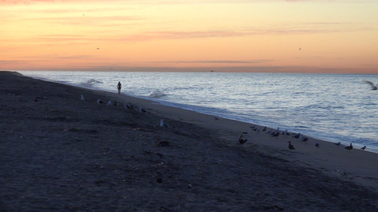 Sunrise beach with ocean waves, shorebirds, and a distant walker.