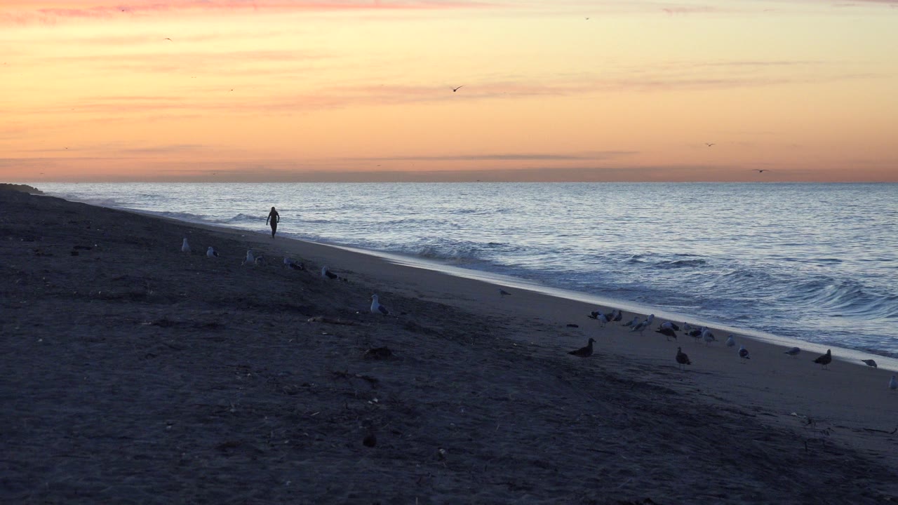 At Huntington Beach, California, a distant person walks along the waterline while birds rest on dark sand and small waves roll under an orange sunset sky.