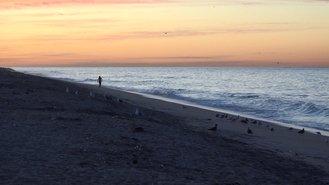 The Huntington Beach shoreline stays in a wide view as the distant walker remains near the surf and birds cluster along the darker foreground sand.