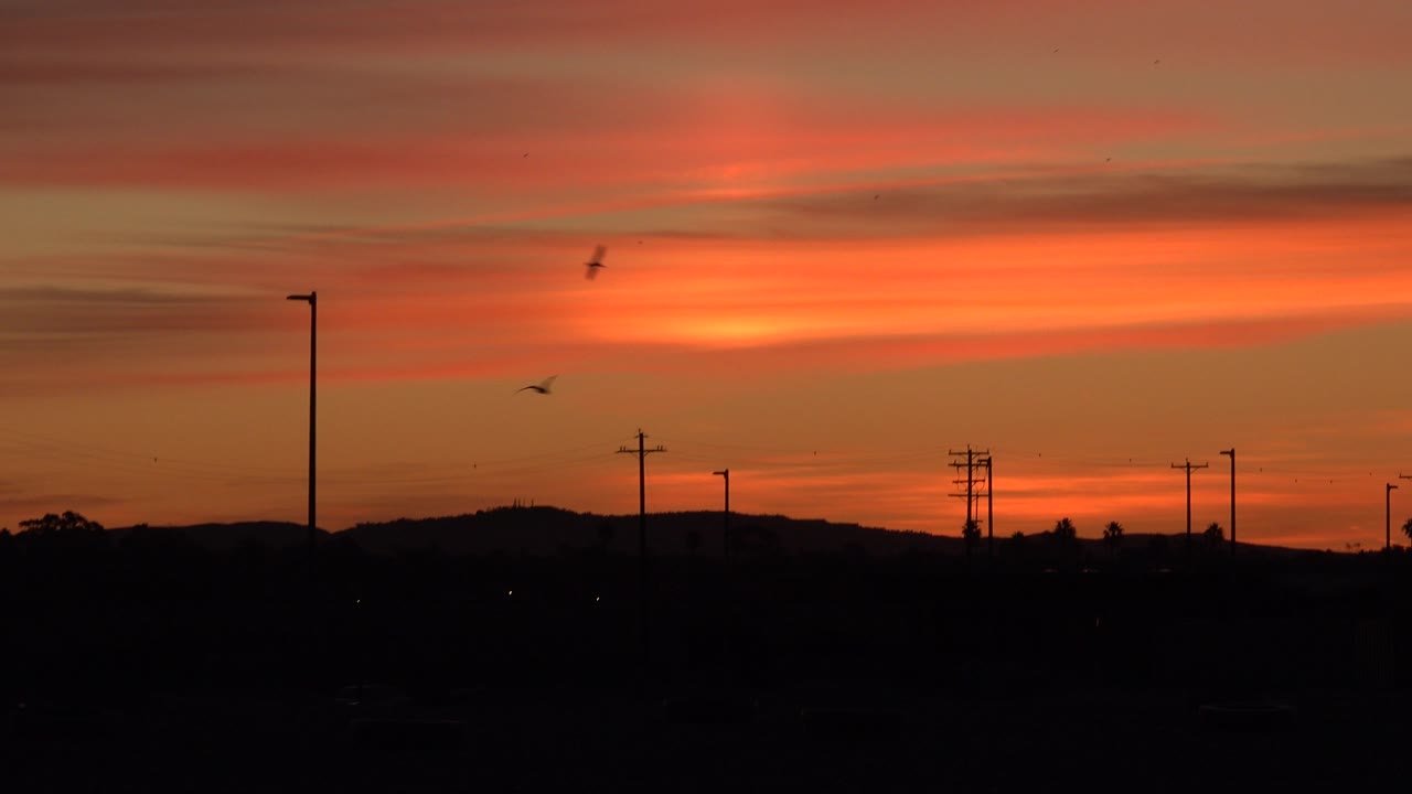 Orange sunset sky over dark roadside silhouettes with birds.