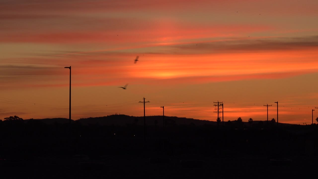 Birds cross the orange Huntington Beach sunset sky above a dark horizon line, streetlight poles, utility poles, and no visible people.