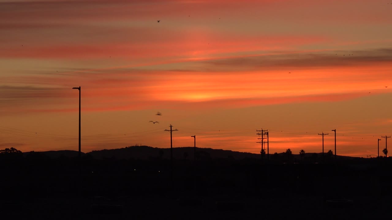 Orange sunset sky over dark hills with light posts and birds.