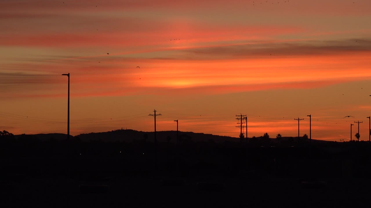 Sunset sky with bird, dark hills, poles, and power structure silhouettes.