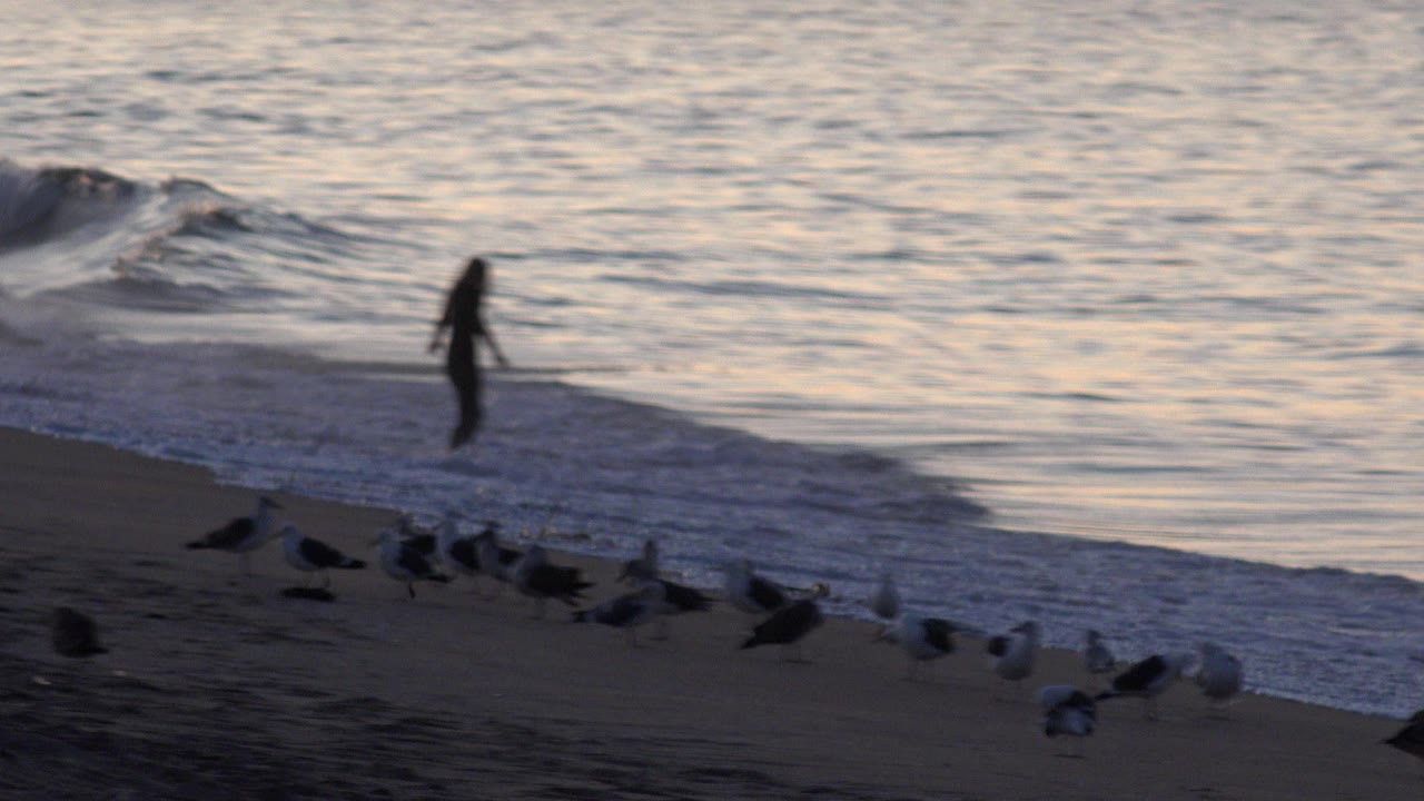 Silhouetted woman near surf with birds on dark sand