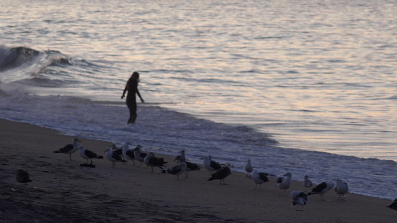 The woman remains near the edge of the breaking surf at Huntington Beach, with birds spread along the sand and blue-gray water filling the background.