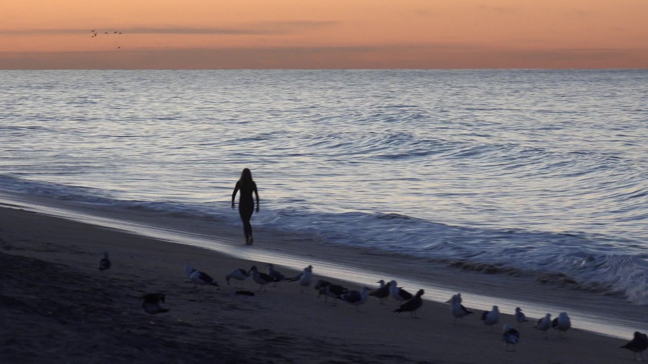 Lone person walking near waves with gulls on the beach at sunset.
