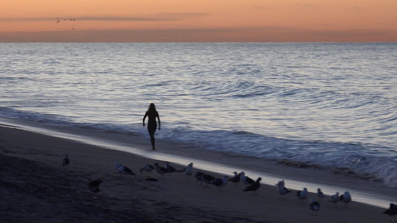 At Huntington Beach, the walker is nearer the center of the shoreline as a thin wave line washes along the sand and gulls sit in the lower frame.